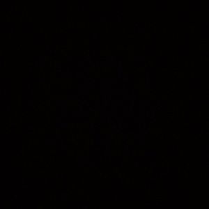 Meet your Posher, Zoey